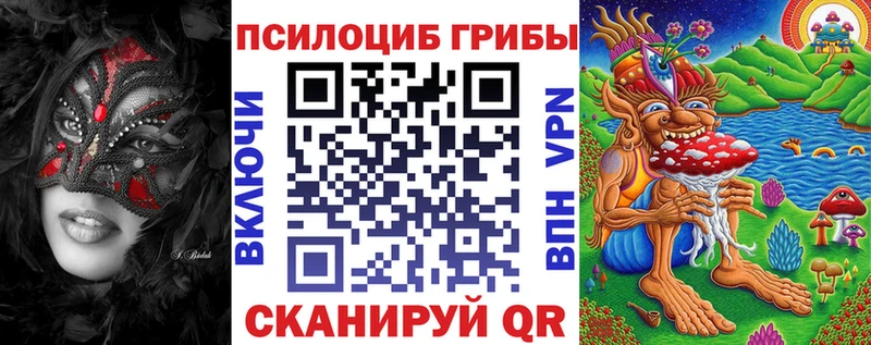 Купить где  Опочка  Галлюциногенные грибы Psilocybe 